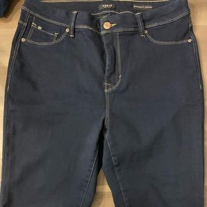 Curve Appeal Minimalist Jegging 14W